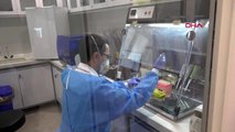 İran'ın en büyük koronavirüs test merkezini DHA görüntüledi