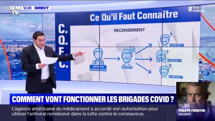 Coronavirus: comment vont fonctionner les "brigades" ?