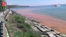 Marmara Denizi yine turuncuya büründü