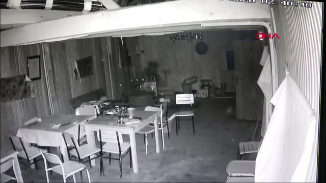 Alabalık tesisine giren ayı, kameraya yakalandı