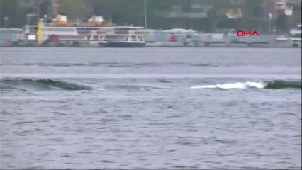 Yunusların dalgalarla dansı Üsküdar'dan görüntülendi
