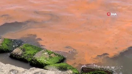 Marmara Denizi yine turuncuya büründü