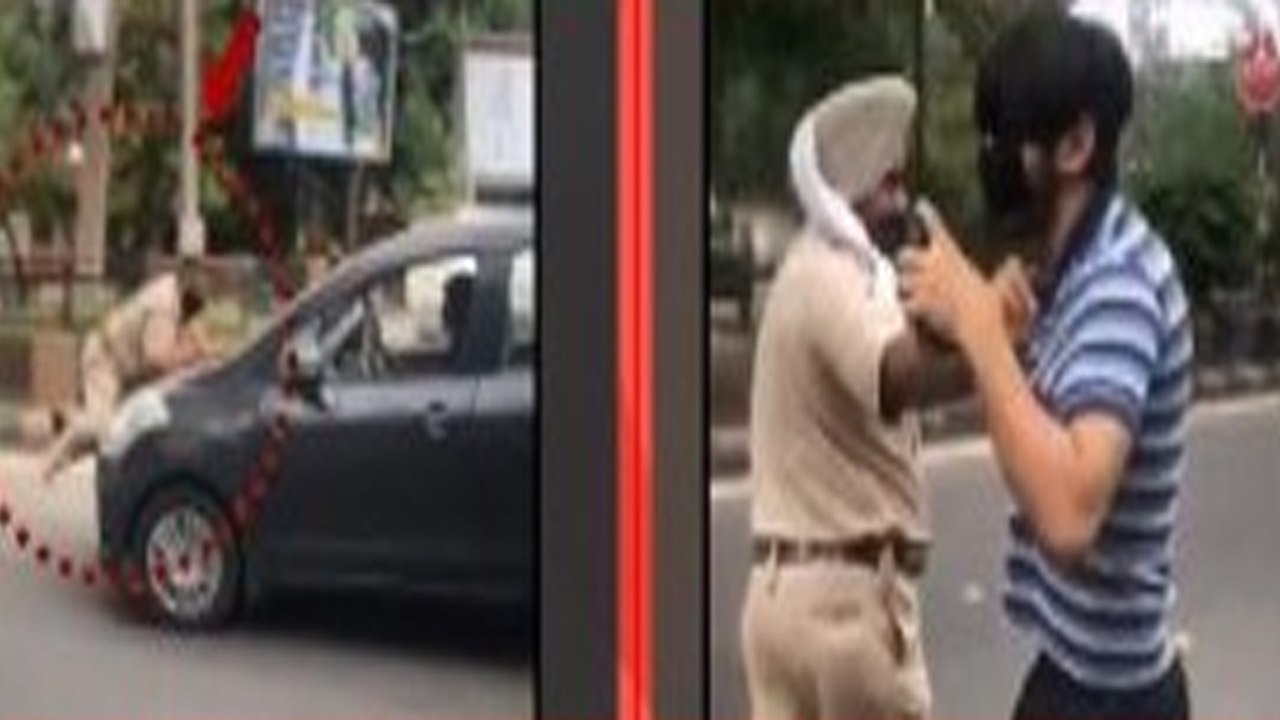 Punjab Cop Tried To Stop Car During Lockdown, Dragged On Bonnet