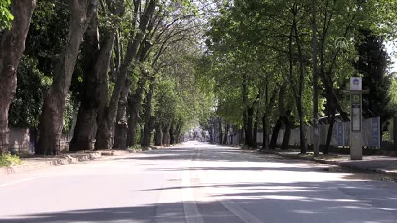 Doğu Marmara ve Batı Karadeniz'de sessizlik hakim - SAKARYA /