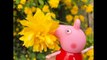 FLOWERS and London Exploring with PEPPA PIG Toys-