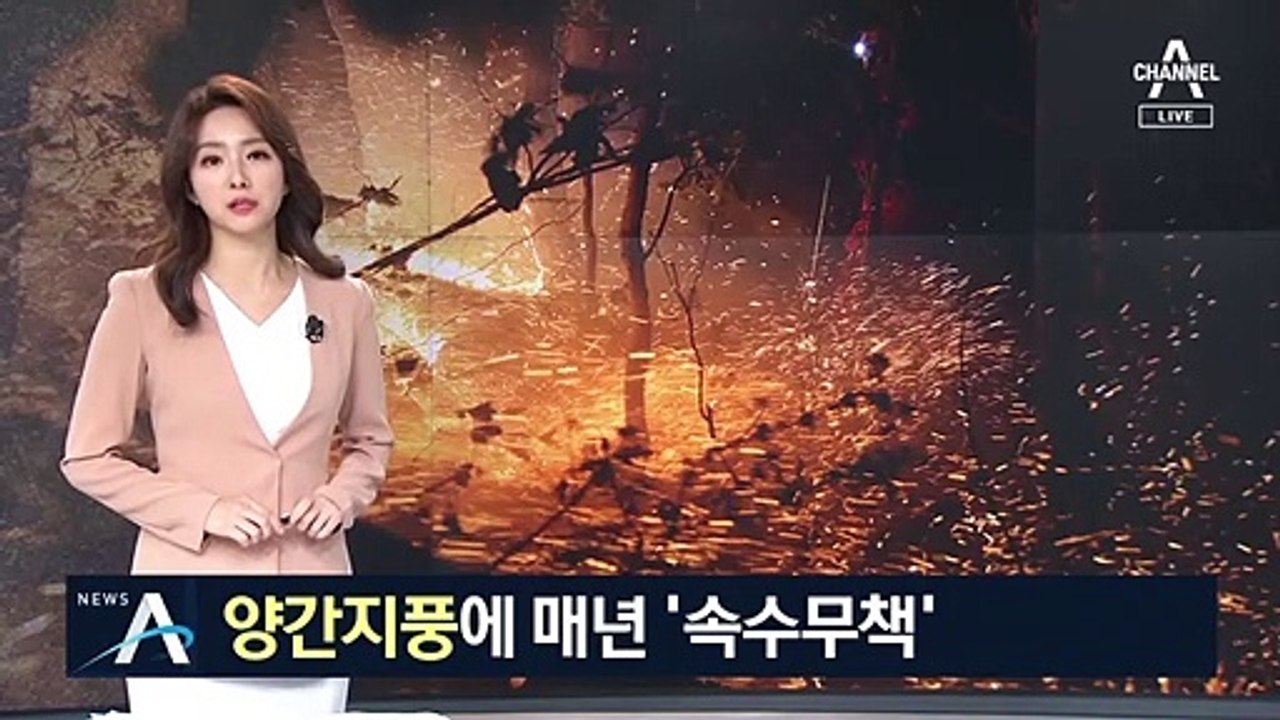 ‘속수무책’ 양간지풍이 뭐길래…강풍 타고 순식간에 확산