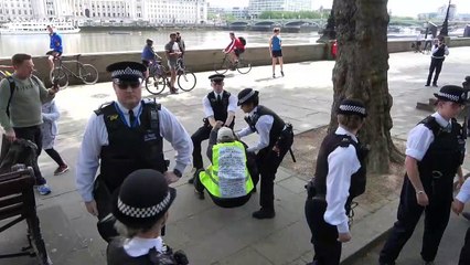 Man arrested at anti-lockdown protest in central London