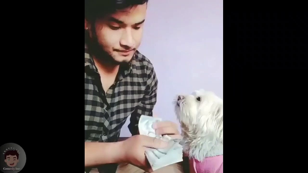 funny prank