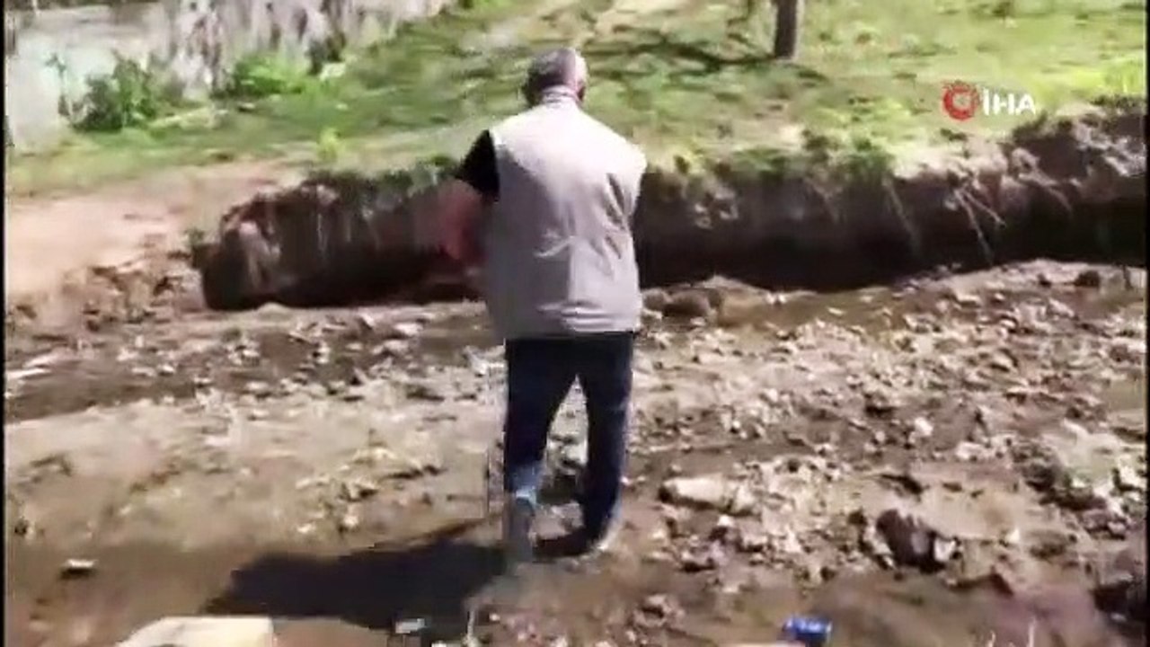 Anne kirpi ve yavruları çöpte ölüme terk edildi