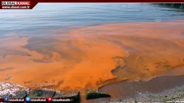 Marmara Denizi turuncuya büründü