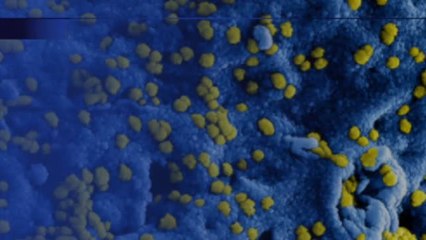 Portugal: la envidia de sus vecinos en el coronavirus