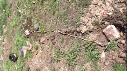 METİ Timleri Irak kuzeyinde 5 EYP imha etti