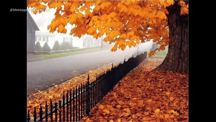 Programa Mensagem de Esperança Em Casa - 01/05/2020