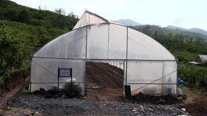 Üreticilerden alınacak sebze ve meyveler ihtiyaç sahiplerine ücretsiz dağıtılacak