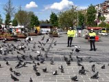 Trafik polisleri sokağa çıkma kısıtlamasında güvercinleri unutmadı