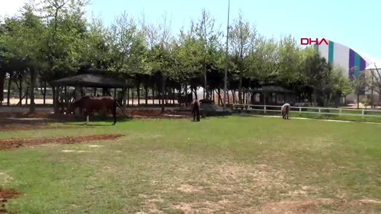 KOCAELİ Salgın nedeniyle atlı spor kulübü, zor günler geçiriyor