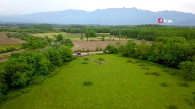 Sakarya'da kısıtlamayı ihlal ederek piknik hazırlığı yapan grup böyle görüntülendi