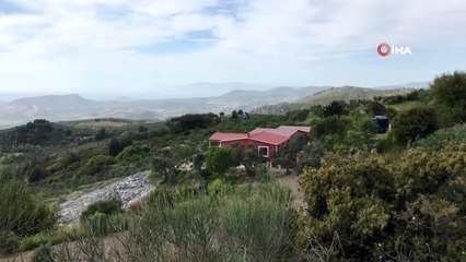 Kuşadası'nda ormanlık alandaki 'kaçak hobi bahçeleri' mühürlendi