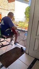 Ce chaton adore la guitare... Fan n°1 de son maitre