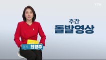 [주간 돌발영상] 2020년 5월 첫째 주 / YTN