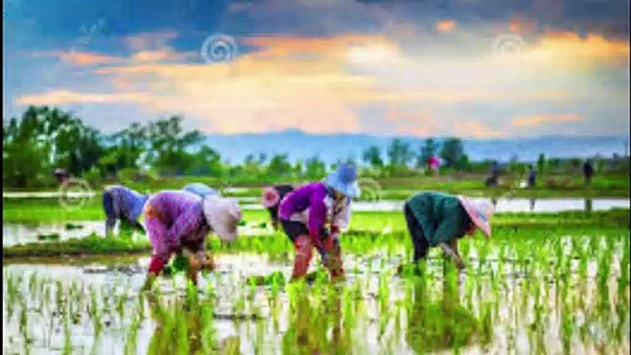 Labour Day WhatsApp Status - May Day or Worker Day - 1st May I 2020 - Kids Explorer