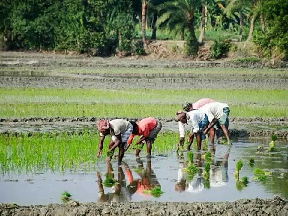 Labour Day WhatsApp Status -- May Day or Workers Day