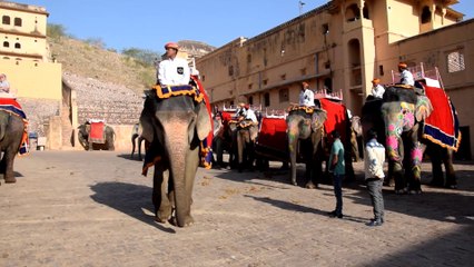 Eléphants au Fort d’Amber. Tourisme à Jaipur