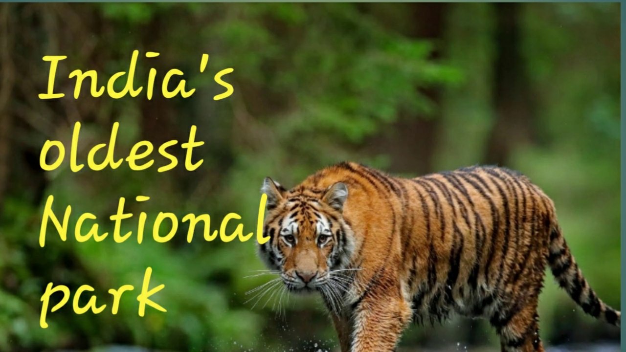 India's oldest national park..