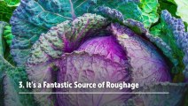 Amazing Health Benefits of Cabbage