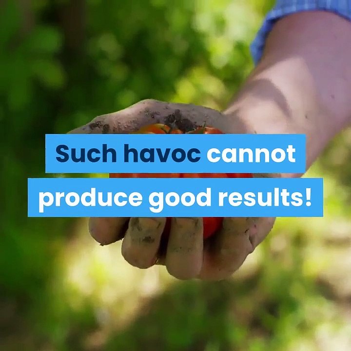 3-tips-for-fast-weight-loss-are-amazing-obesity-will-also-be-less-will-remain-fit