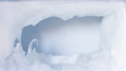 Son Discovers What Horrifying Thing His 'Lovely' Old Mom Kept In Her Freezer