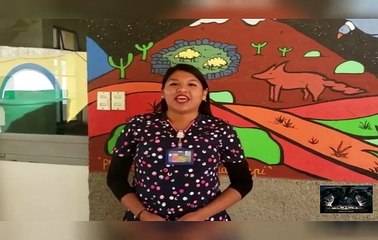 La enfermera del Cesfam de Putre Jocelyn Vargas destaca que hoy más que nun...