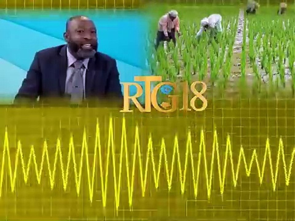 Direktè jeneral konsèy nasyonal koperativ yo mande otorite yo nan leta pou priyorize agrikilti a.