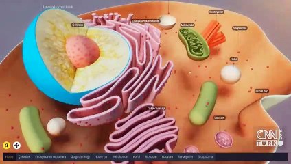 Bakan Selçuk duyurdu: Öğrenciler için yeni hizmet