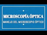 MICROSCOPÍA ÓPTICA · Manejo del microscopio óptico