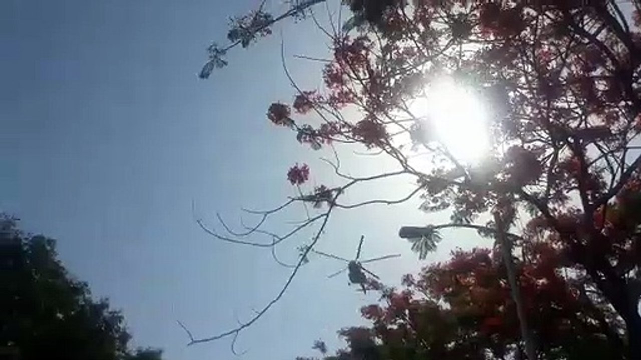 वायुसेना के विमान से पुष्प वर्षा