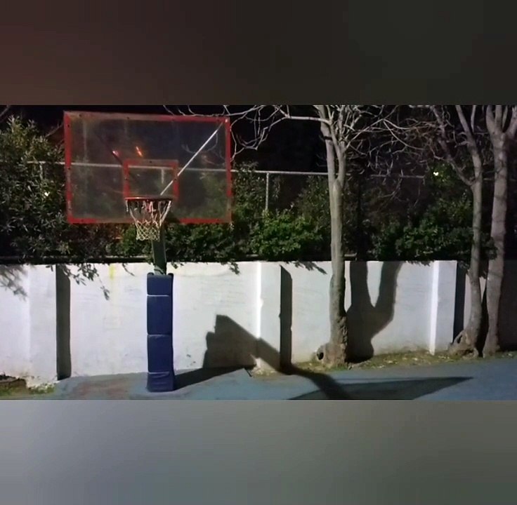 First fly