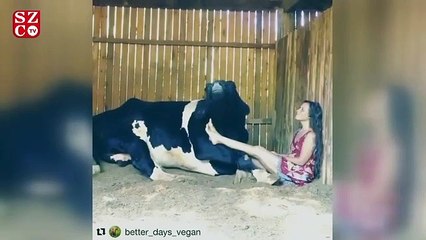 Mercan Dede’den anlamlı video