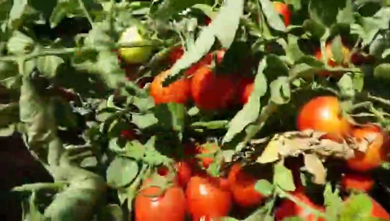 quran /quran tilawat /quran recitation /best quran tilawat nature quran  tilawat banglanew / tilawat e quran with amazing nature video 2020quran recitation  /really beautiful quran with /tilawat quran best voice /tilawat quran / beautiful voice beautiful