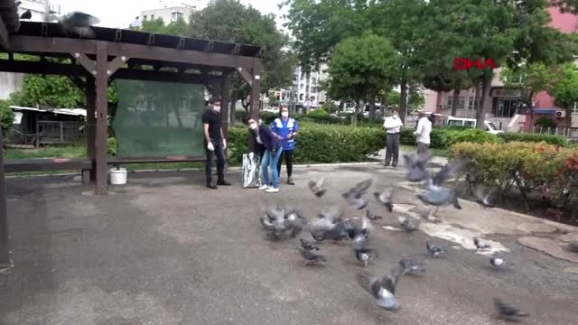 İzmir'de sokak hayvanları için mama seferberliği