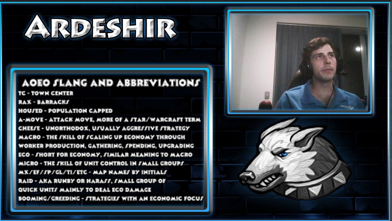 Age of Empires Online and General RTS Slang