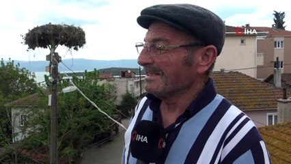 Yaren leylekten sevindirici haber...İşte o anlar