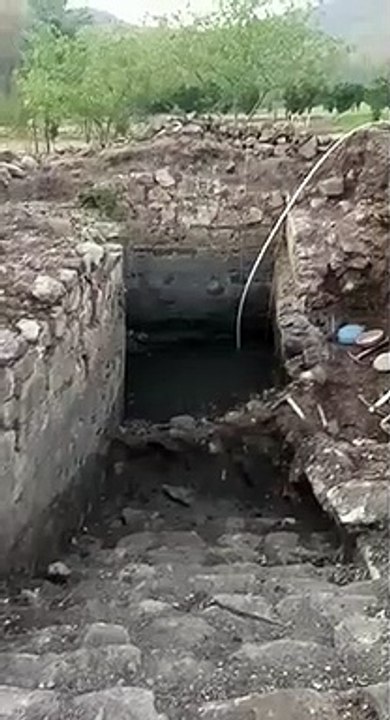 VID-20200501-WA0025