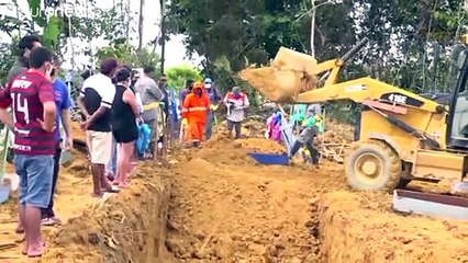 Cosa può fare Greta per soccorrere l'Amazzonia in preda al covid