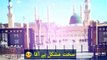 Tajdar E Haram WhatsApp Status Video | Atif Aslam | Tano status |