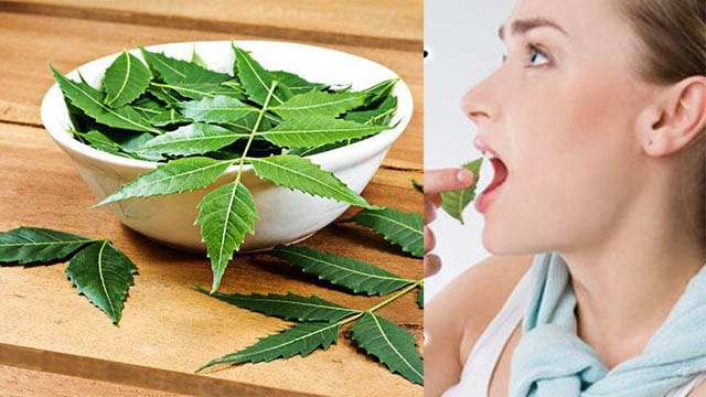 खाली पेट नीम की पत्ती खाने के फायदे नहीं जानते होंगे आप । Benefits Of Neem । Boldsky