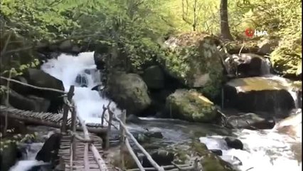 İnsanlar evde kaldı, doğa kendine geldi