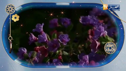 نساء الإسلام/  رملة رضي الله عليها