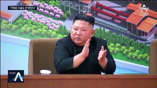 靑 “김정은 수술 없었다…판단 근거 있지만 못 밝혀”