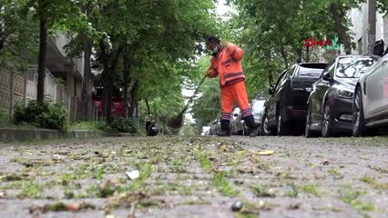 KORONAVİRÜS NEDENİYLE EVDE KALINDI, AVCILAR'DA SOKAKLARDAKİ YOLLAR YEŞERDİ